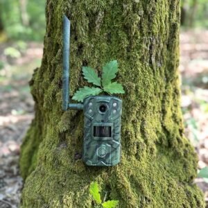 Camera Vanatoare ForestVision C1