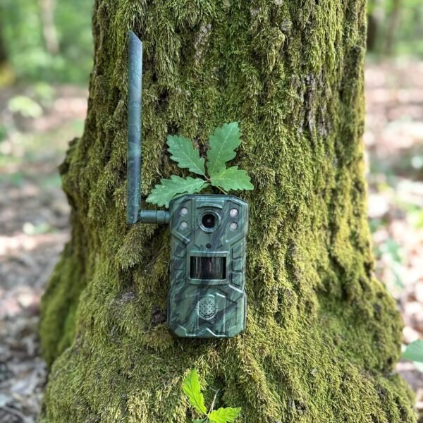 ForestVision C1 mit App-Steuerung & Solar 4G Wildkamera Live