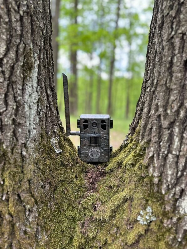 ForestVision C7 Jagdkamera