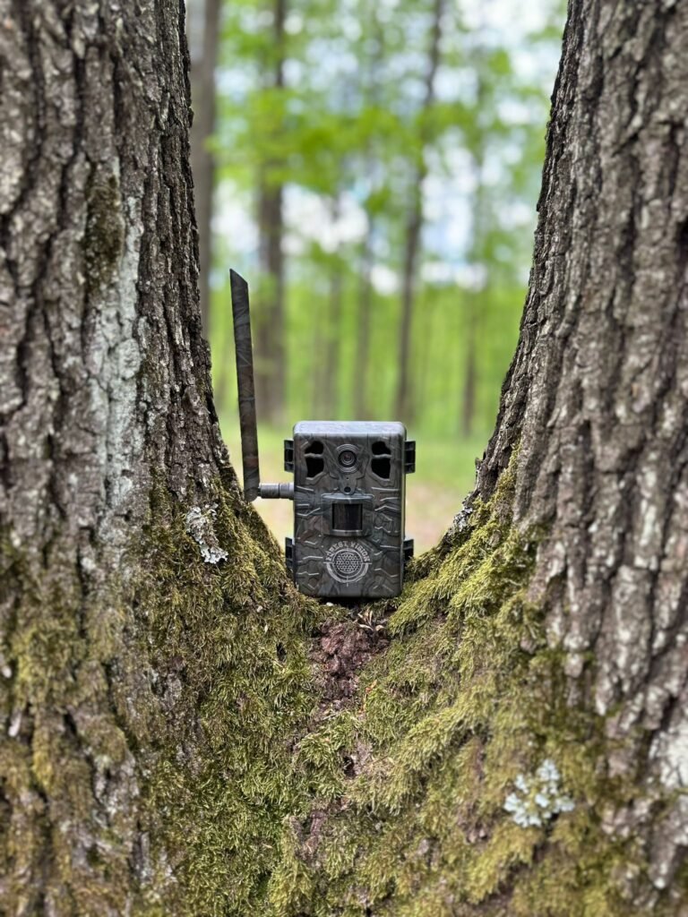 Camera Vanatoare C7