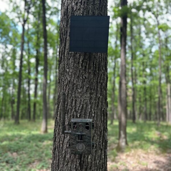 ForestVision C7 Jagdkamera