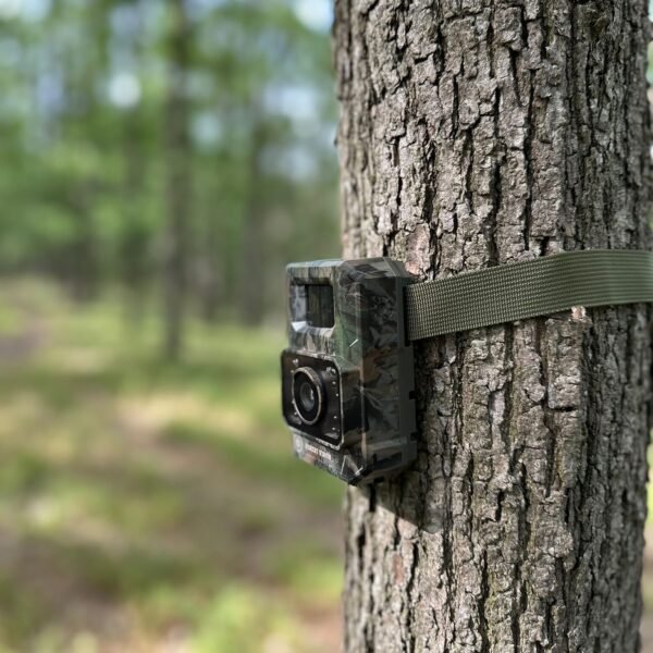 ForestVision Alpha Jagdkamera