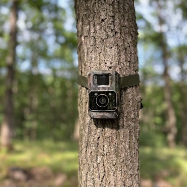ForestVision Alpha Jagdkamera