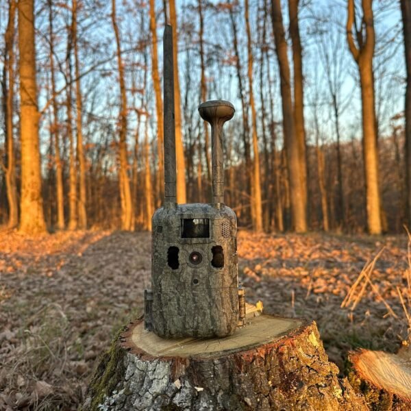 GPS Wildkamera mit Nachtsicht