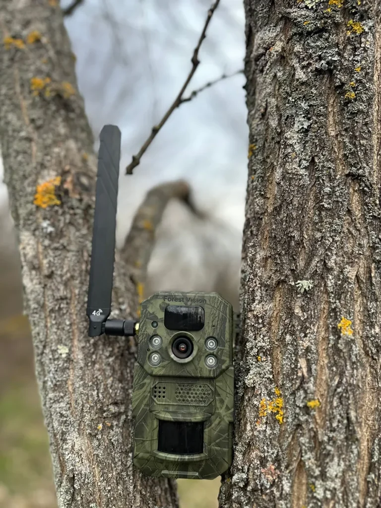 camera vanatoare ForestVision Live Pro 2 2025