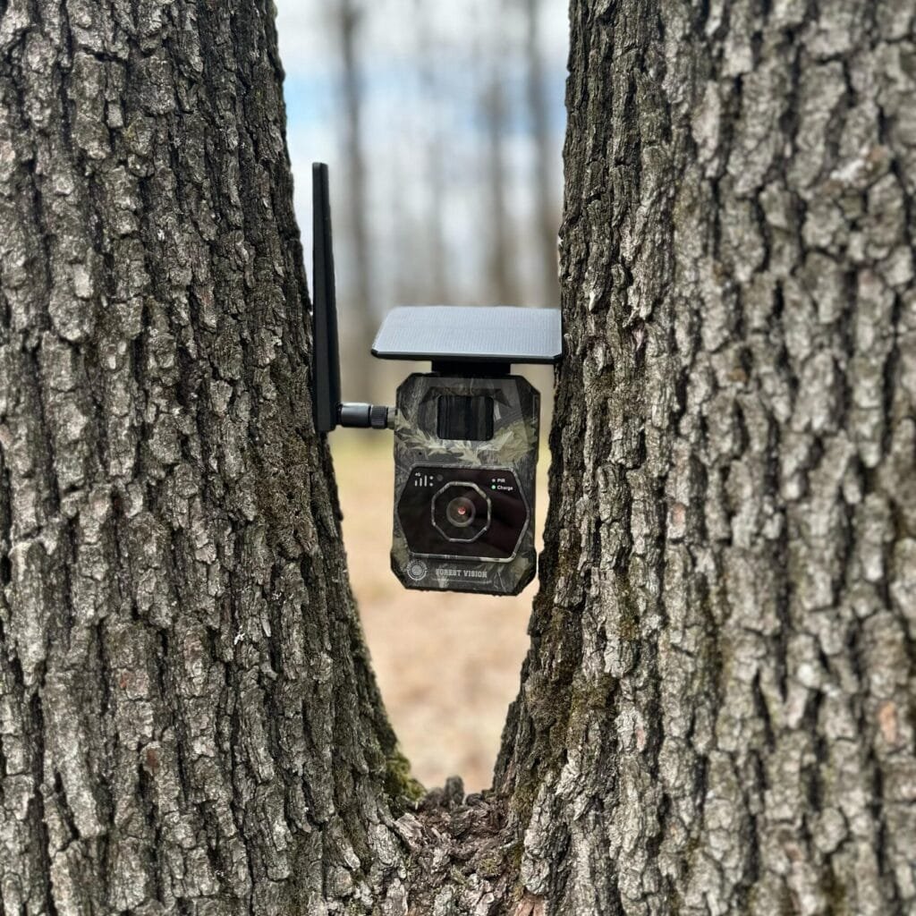 camera vanatoare forestvision live alpha 4g gps
